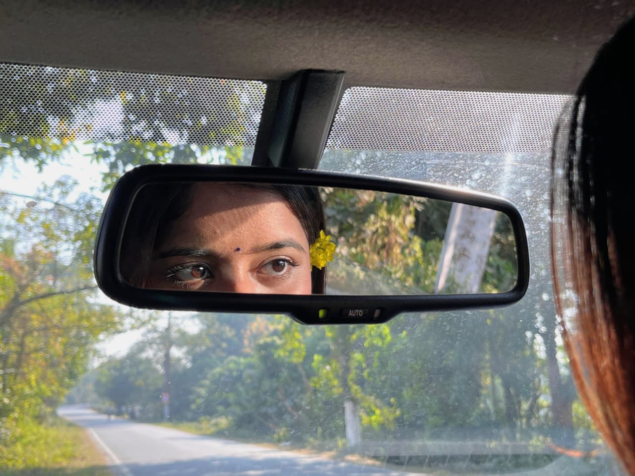 Eye
